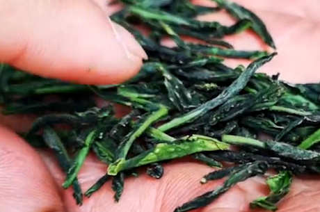 中国名茶的产地有哪些？