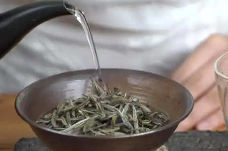 安吉白茶用多少度水冲泡？