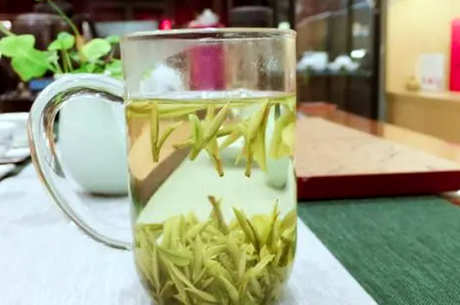 安吉白茶用多少度水冲泡？