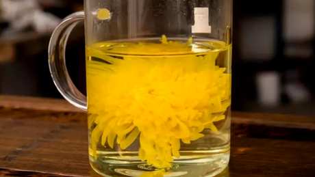 菊花绿茶能一起泡吗？