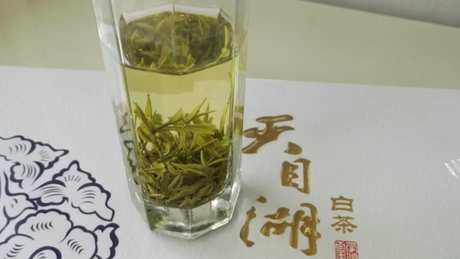 天目湖白茶泡法