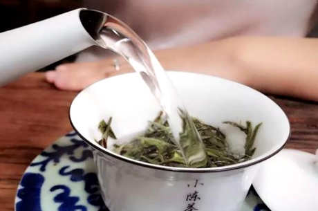 天目湖白茶泡法