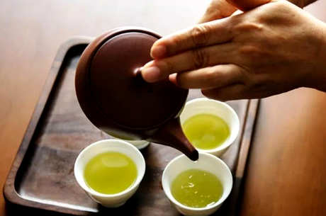 用什么茶泡功夫茶？
