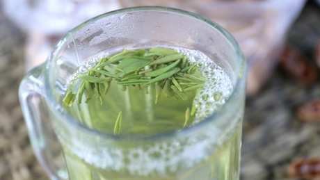 竹叶绿茶的冲泡方法