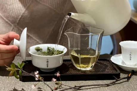 竹叶绿茶的冲泡方法