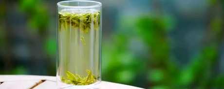 用什么茶具泡各种茶？