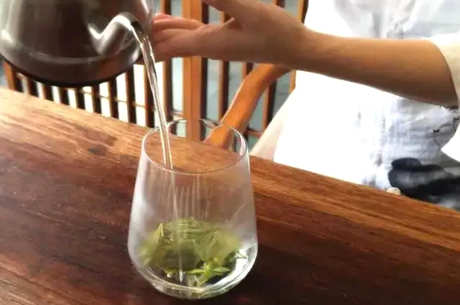 正确泡龙井茶