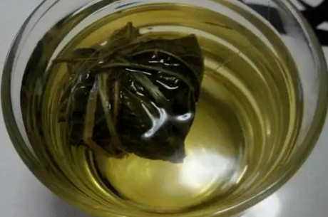 鹧鸪茶是谁发现的