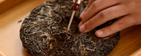 如何冲泡普洱茶饼？