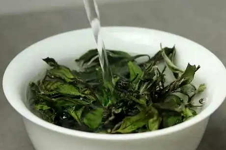 怎样泡老白茶才能正确