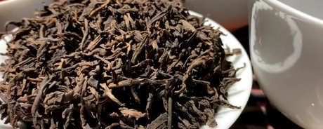最好的普洱茶在哪里？