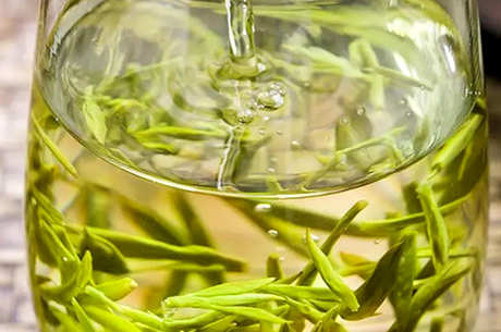 可以泡几次龙井茶