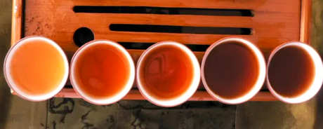 冬天喝普洱茶还是夏天喝普洱茶