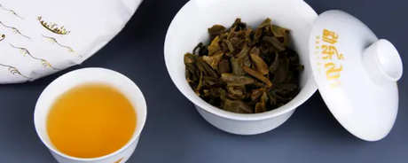 什么季节的普洱茶最好？