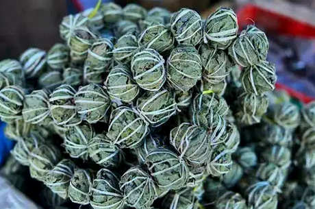 鹧鸪茶的起源