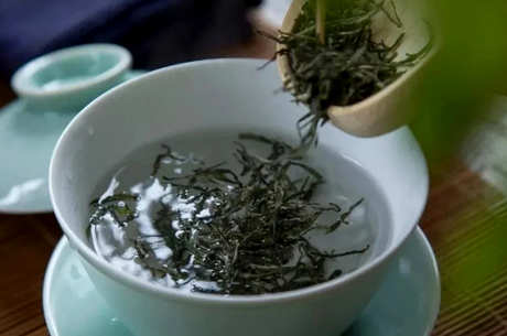 毛尖的泡法