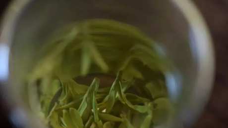 泡过的茶第二天还能泡吗？