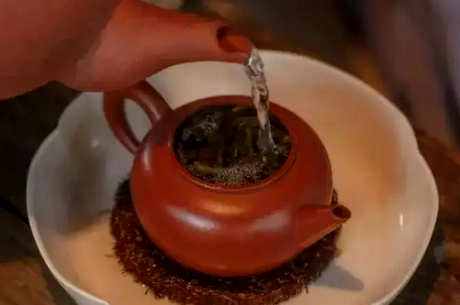泡过的茶第二天还能泡吗？