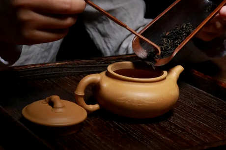 什么茶适合做石瓢壶？