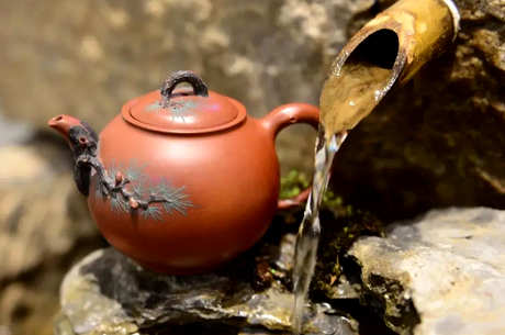 什么茶适合做石瓢壶？