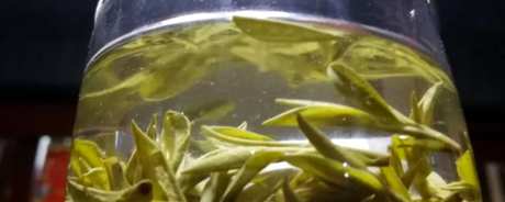 一夜茶还能泡吗？