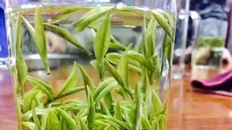 泡几次茶就不能喝了。