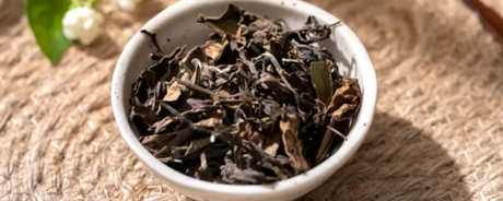 怎样泡白茶饼？