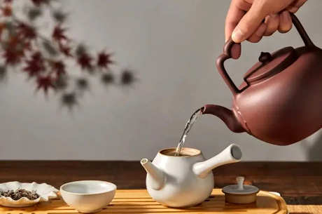 什么茶适合做西施壶？