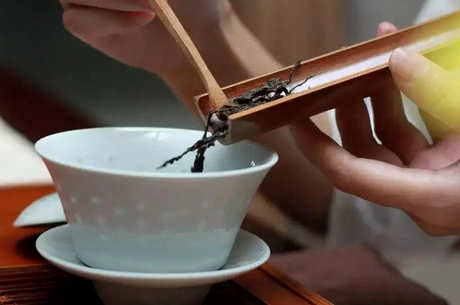 泡茶七个步骤是正确的