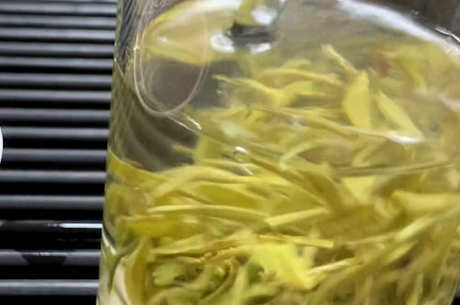 喝什么茶好？