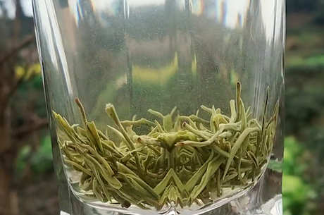 四川最有名的茶是什么？