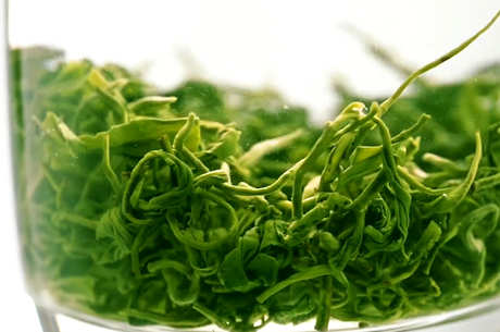 四川最有名的茶是什么？