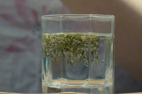 碧螺春茶的产地
