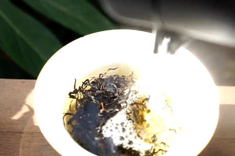 中国十大红茶有哪些？