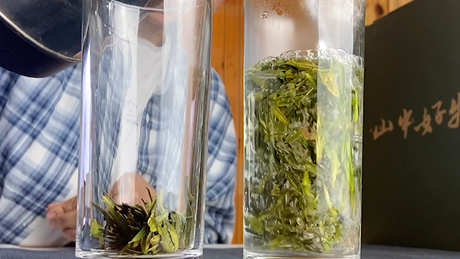 怎么看茶是不是新茶？