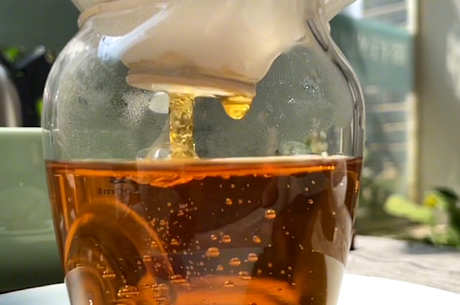 茶怎么分类