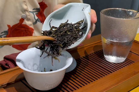 六大茶的属性和特点