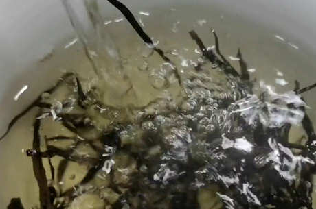各种泡茶的最佳温度是多少？