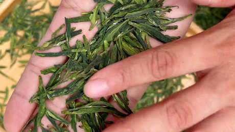 中国十大名茶特色