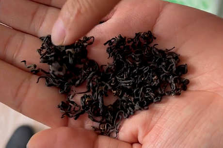 中国十大名茶特色