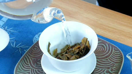 如何判断茶是什么茶？
