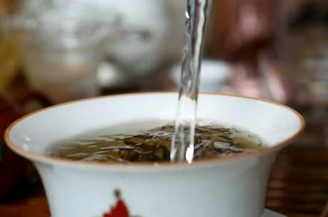 如何判断茶是什么茶？