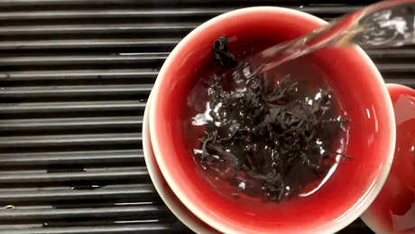 区分六种茶最基本的标准