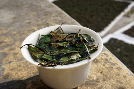 如何泡寿眉白茶？