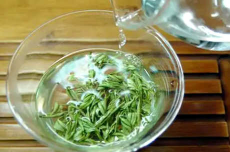 如何泡好安吉白茶？