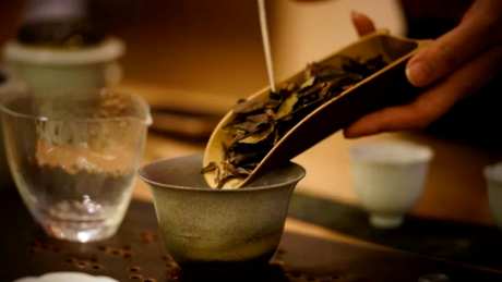 如何冲泡白茶？