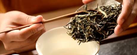 泡普洱茶的方法