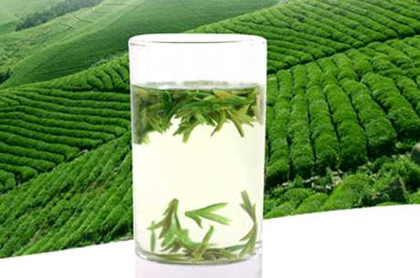 泡龙井茶的水温是多少？