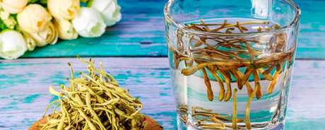 怎样泡金银花茶？