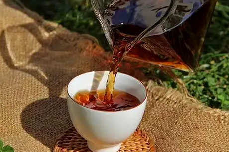 如何泡陈皮普洱茶？